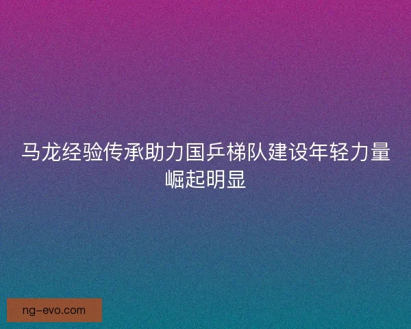 马龙经验传承助力国乒梯队建设年轻力量崛起明显
